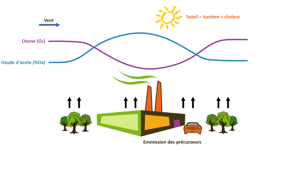 Schéma illustrant la formation de l'ozone troposphérique.