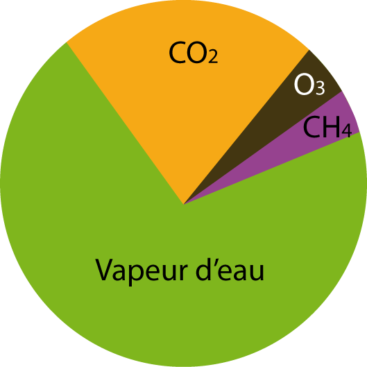 Schéma représentant la part en pourcentage de la contribution à l'effet de serre additionnel des principaux GES (hors nuage)