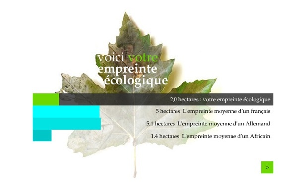 Image représentant un exemples de résultats de calcul d'empreinte écologique.