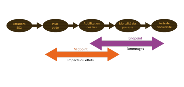 Graphique représentant les méthodes mid-point et end-point.